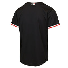 Minnesota Twins Nike Youth Alternate 2 Stadium Jersey | MLB On Sale
