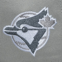 Toronto Blue Jays Mitchell & Ness Cooperstown Thunderstorm Head Coach Pro-Crown Adjustable Hat | MLB New