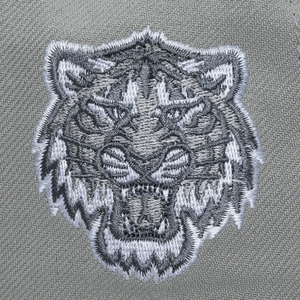 Detroit Tigers Mitchell & Ness Thunderstorm Head Coach Pro-Crown Adjustable Hat | MLB Near me