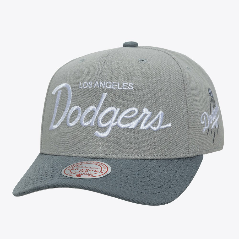 Los Angeles Dodgers Mitchell & Ness Thunderstorm Head Coach Pro-Crown Adjustable Hat | MLB Sale