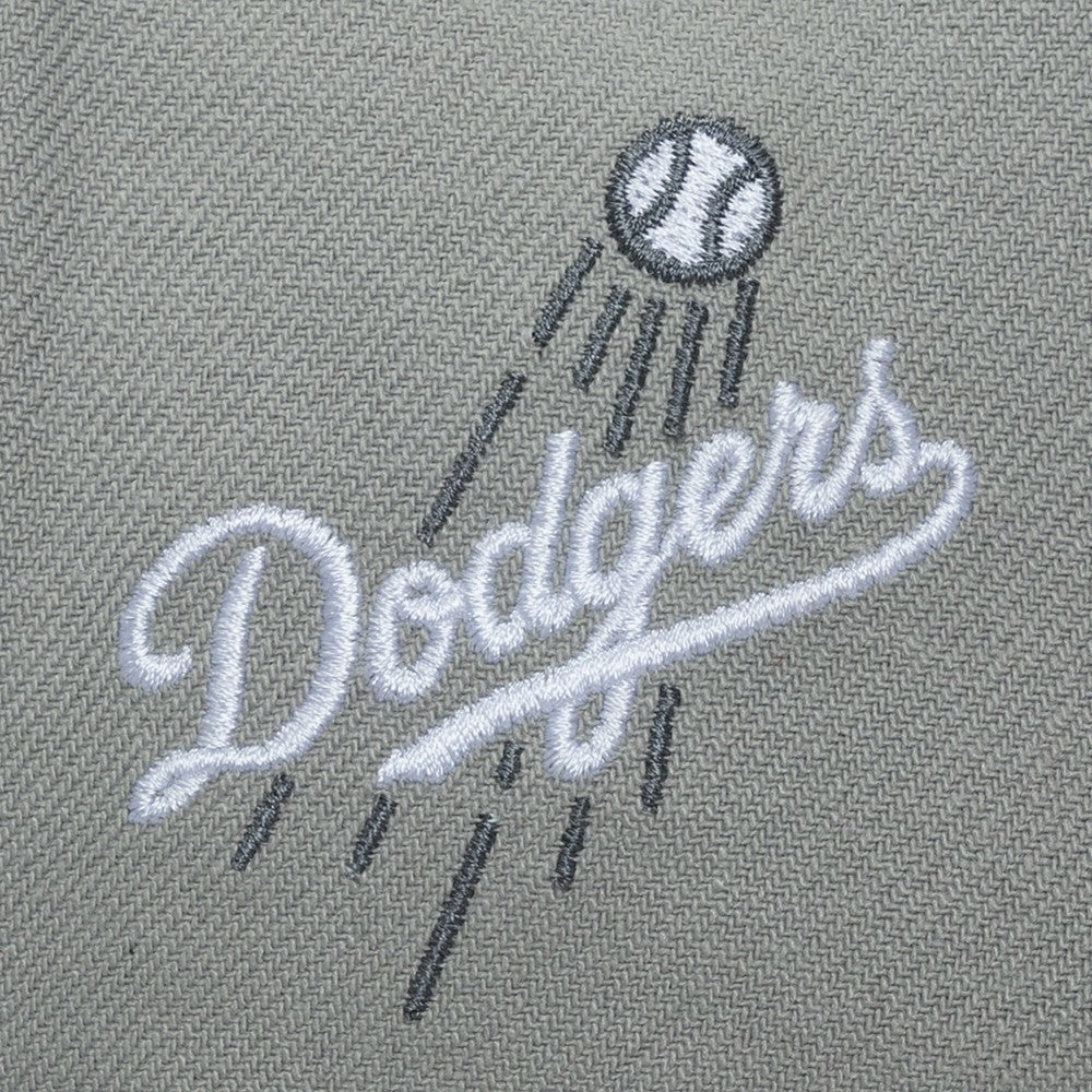 Los Angeles Dodgers Mitchell & Ness Thunderstorm Head Coach Pro-Crown Adjustable Hat | MLB Sale