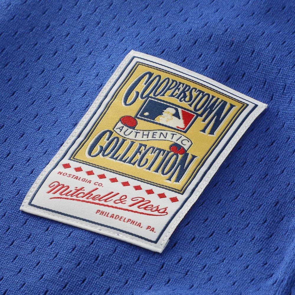 Lenny Dykstra New York Mets Mitchell & Ness Authentic Batting Practice Jersey | MLB Shop