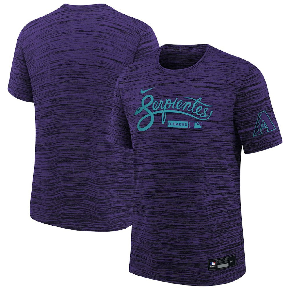 Arizona Diamondbacks Nike Youth Authentic Collection Velocity Dri-FIT T-Shirt | MLB Sale