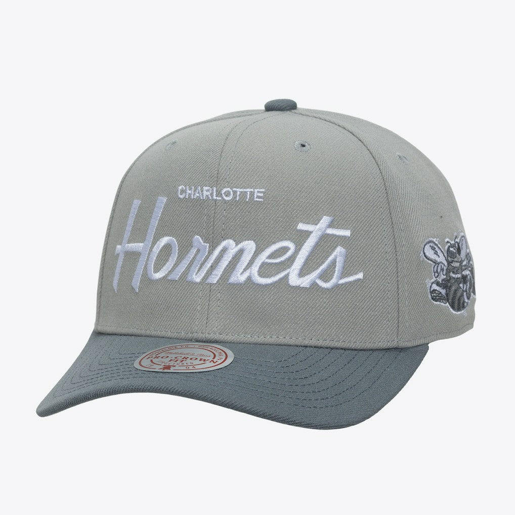 Charlotte Hornets Thunderstorm Head Coach Pro Crown Snapback Hat Discount