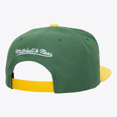 Minnesota Wild Mitchell & Ness Legendary Home Snapback Hat Sale