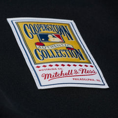 Randy Johnson Arizona Diamondbacks Mitchell & Ness 2001 Authentic Jersey | MLB Outlet