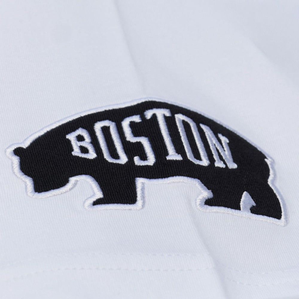Boston Bruins Mitchell & Ness Arctic T-Shirt- White Outlet