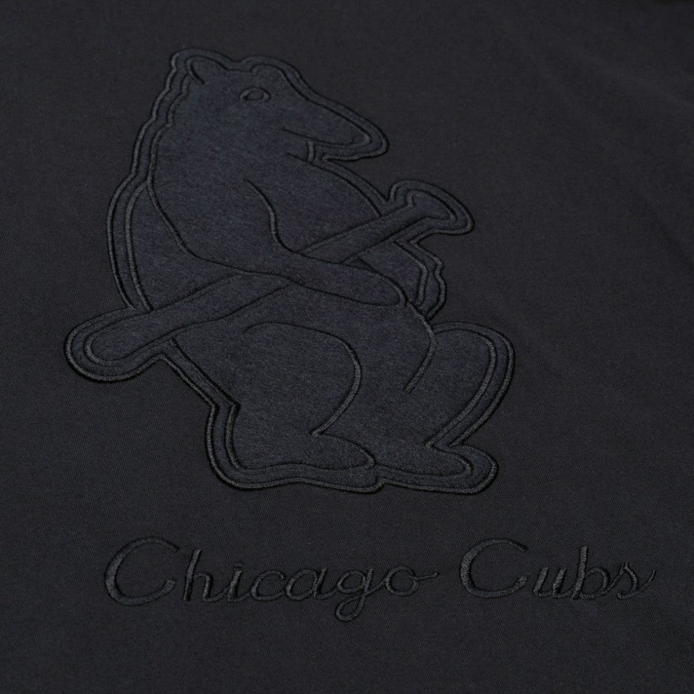 Chicago Cubs Mitchell & Ness Cooperstown Collection Phantom T-Shirt | MLB Sale