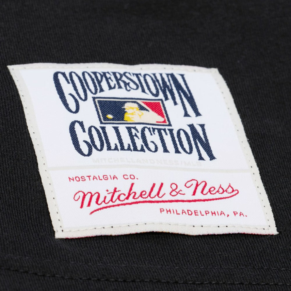 Chicago Cubs Mitchell & Ness Cooperstown Collection Phantom T-Shirt | MLB Sale