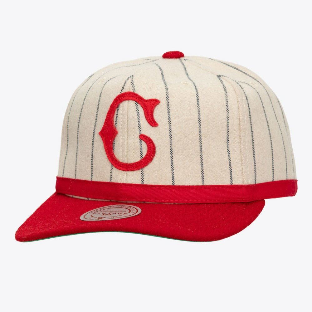 Cincinnati Reds Mitchell & Ness Unisex Vintage Ground Melton Wool Pinstripe Adjustable Hat | MLB For sale