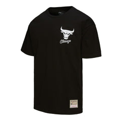 Chicago Bulls Hardwood Classics Overlap T-Shirt sale For Sale