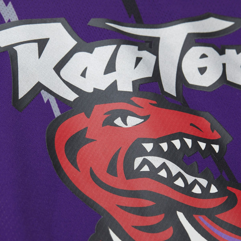 Vince Carter Toronto Raptors Unisex Maxxed Out Fashion Hockey Jersey Online