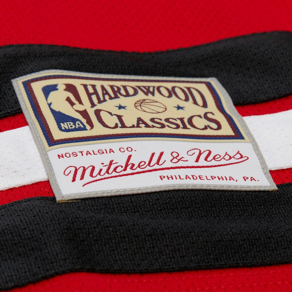 Dennis Rodman Chicago Bulls Unisex Maxxed Out Fashion Hockey Jersey sale Online