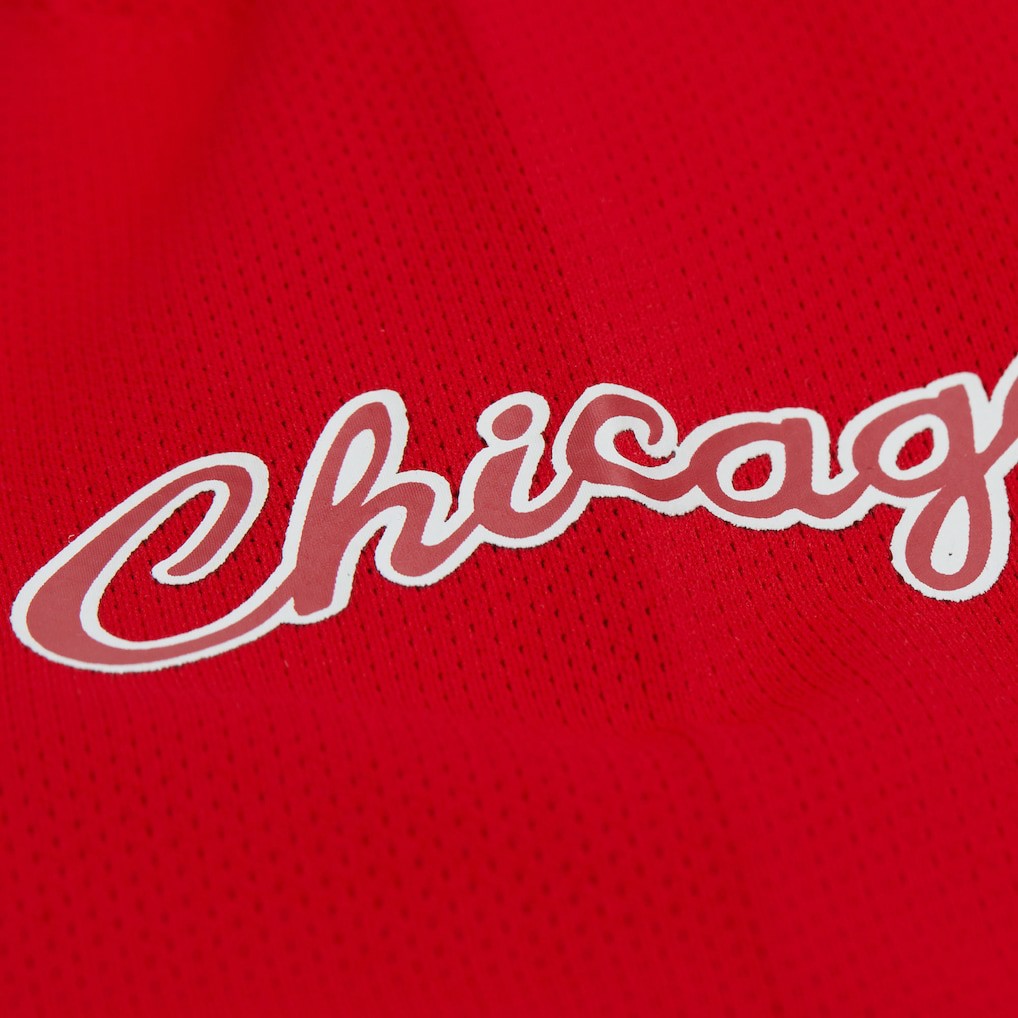 Dennis Rodman Chicago Bulls Unisex Maxxed Out Fashion Hockey Jersey sale Online