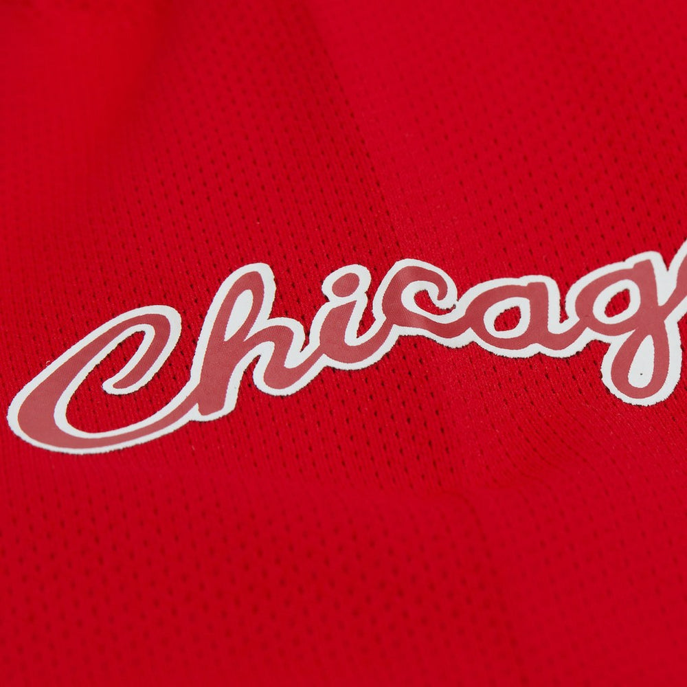 Dennis Rodman Chicago Bulls Unisex Maxxed Out Fashion Hockey Jersey sale Online