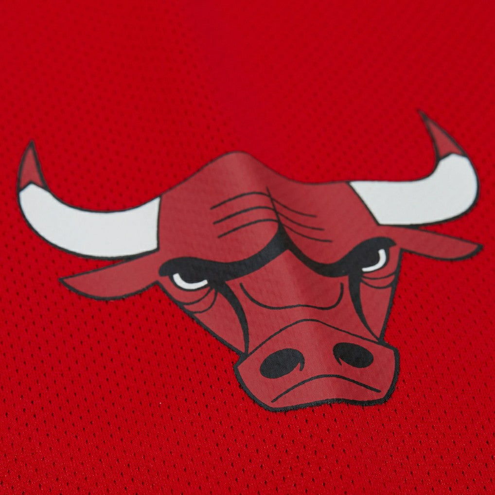 Dennis Rodman Chicago Bulls Unisex Maxxed Out Fashion Hockey Jersey sale Online
