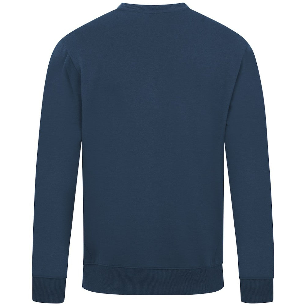 Tampa Bay Rays Levelwear Zane Banner Arch Sweatshirt | MLB US