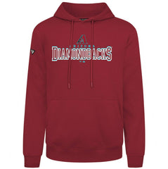 Arizona Diamondbacks Levelwear Podium Journey Hoodie | MLB Shop