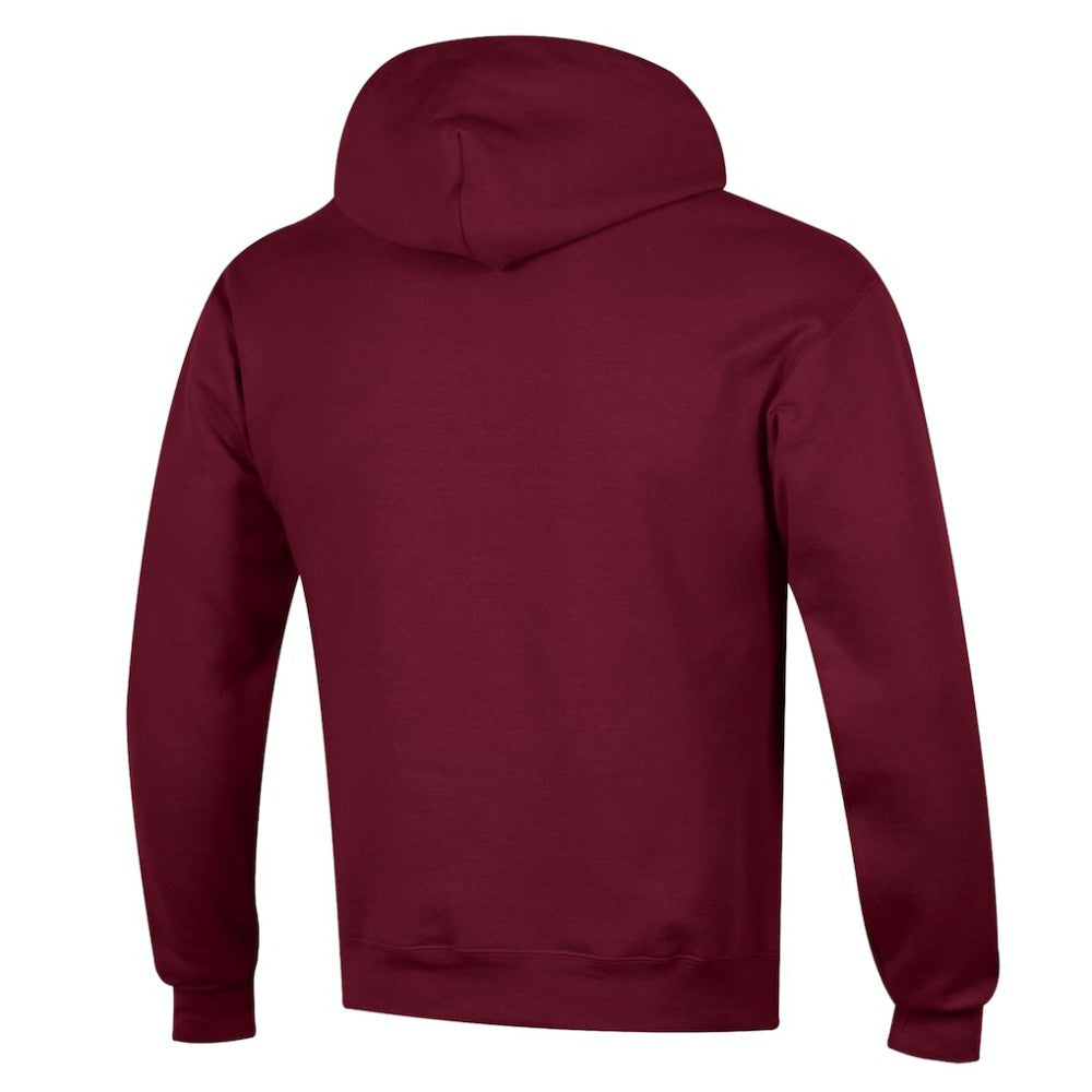 Colorado Avalanche Champion Powerblend Hoodie For Sale