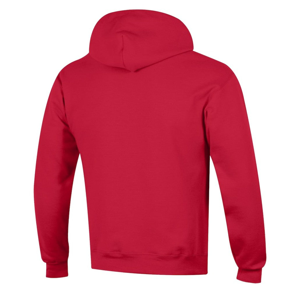 Florida Panthers Champion Powerblend Hoodie Online