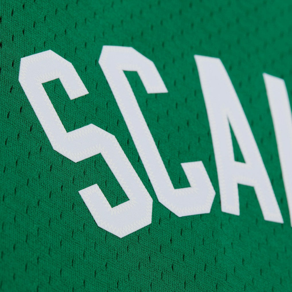 Brian Scalabrine Boston Celtics 2007/08 Hardwood Classics Swingman Jersey Discount