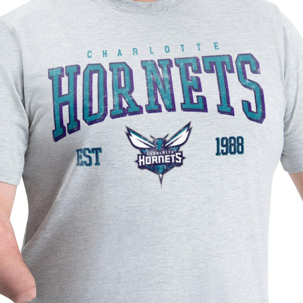 Charlotte Hornets G-III Sports by Carl Banks Adaptive Classic Team Spirit Short Sleeve T-Shirt Online