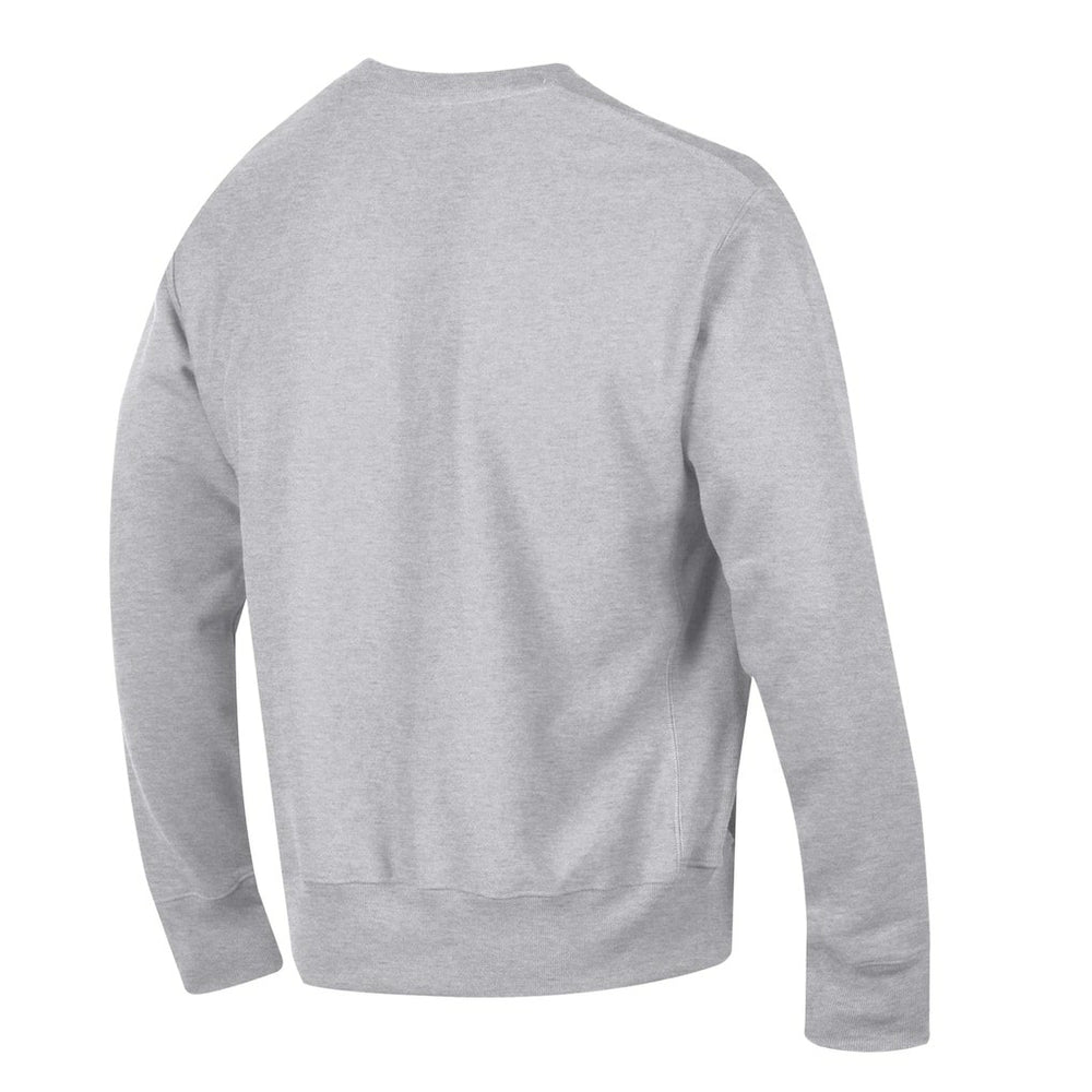 Dallas Cowboys Champion Reverse Weave Fleece Sweatshirt