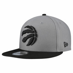 Toronto Raptors Core Logo Storm Gray Two-Tone 9FIFTY Snapback Hat Discount