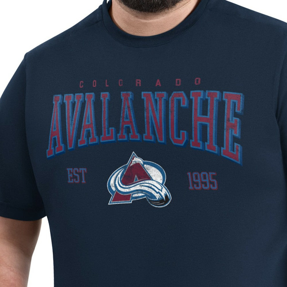 Colorado Avalanche G-III Sports by Carl Banks Adaptive Classic Team Graphic T-Shirt On Sale