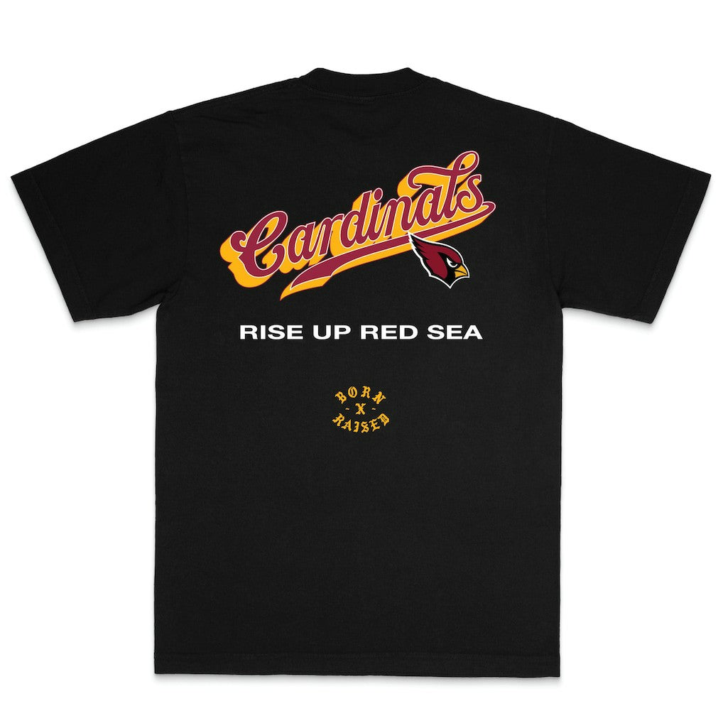 Arizona Cardinals  Born x Raised Unisex Pro Script T-Shirt