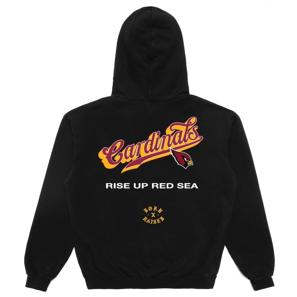 Arizona Cardinals  Born x Raised Unisex Pro Script Hoodie