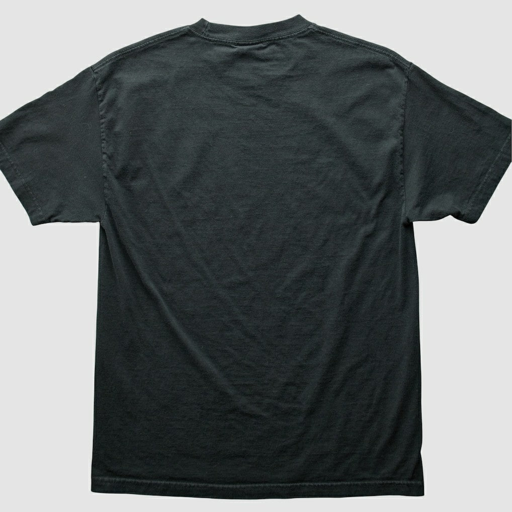 Pittsburgh Steelers Fanatics NFL 2000s T-Shirt
