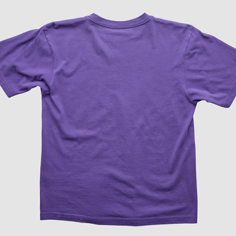 Minnesota Vikings Fanatics 2000s T-Shirt