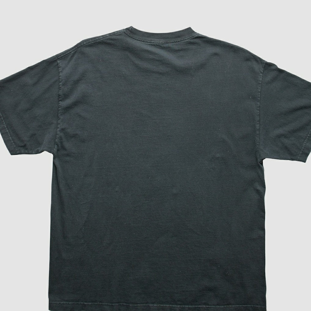 Pittsburgh Steelers Fanatics 2000s T-Shirt