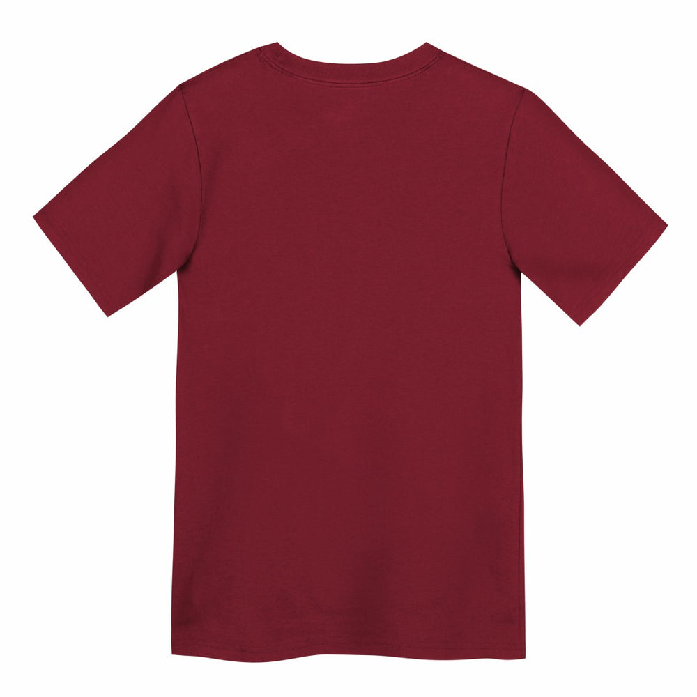 Tampa Bay Buccaneers Nike Preschool Icon Legend Dri-FIT T-Shirt