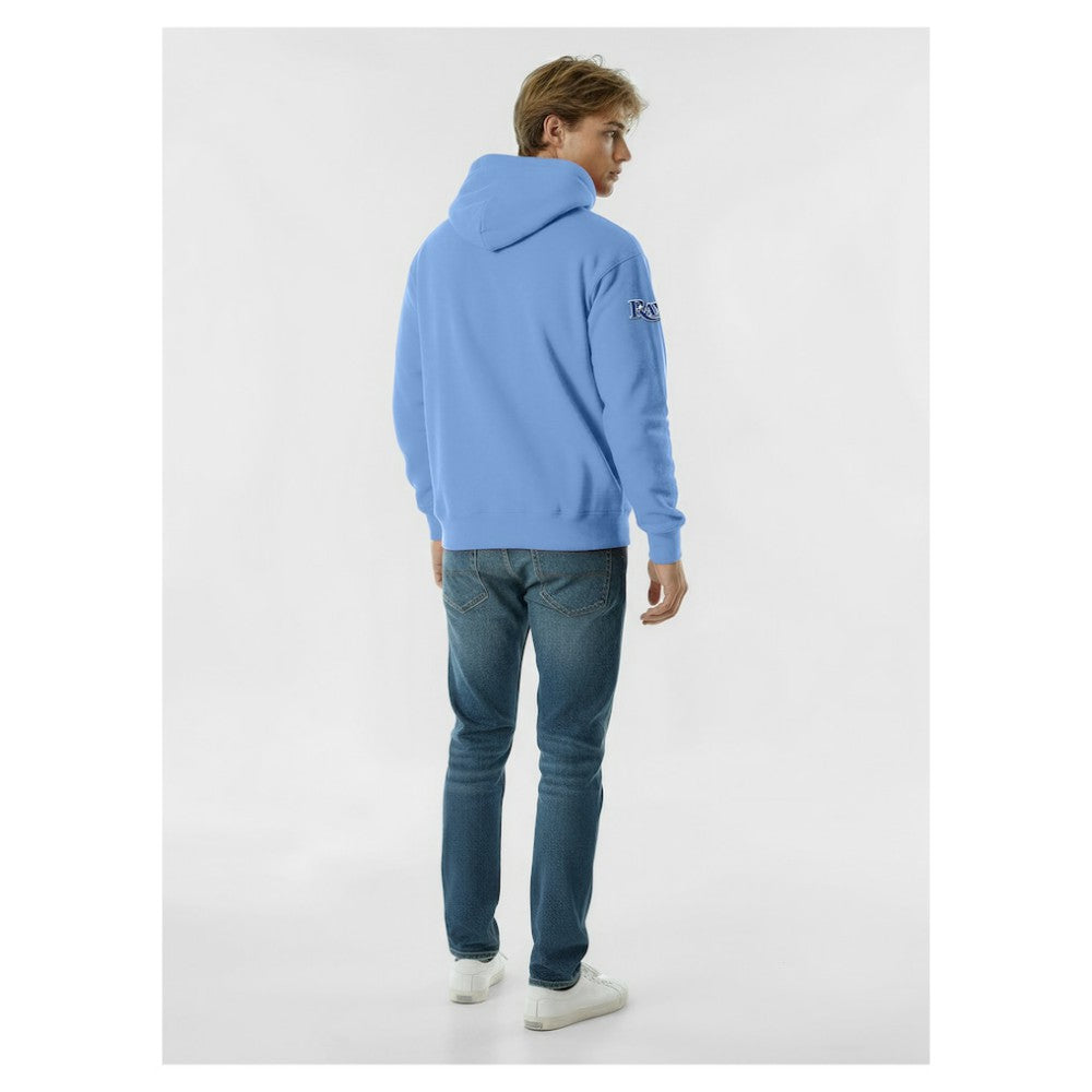Tampa Bay Rays Champion Reverse Weave Chenille Hoodie | MLB For sale
