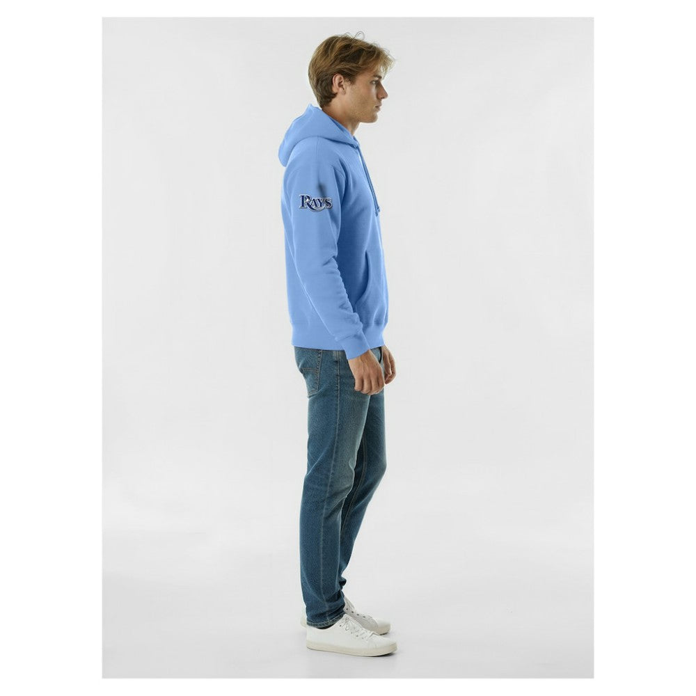 Tampa Bay Rays Champion Reverse Weave Chenille Hoodie | MLB For sale