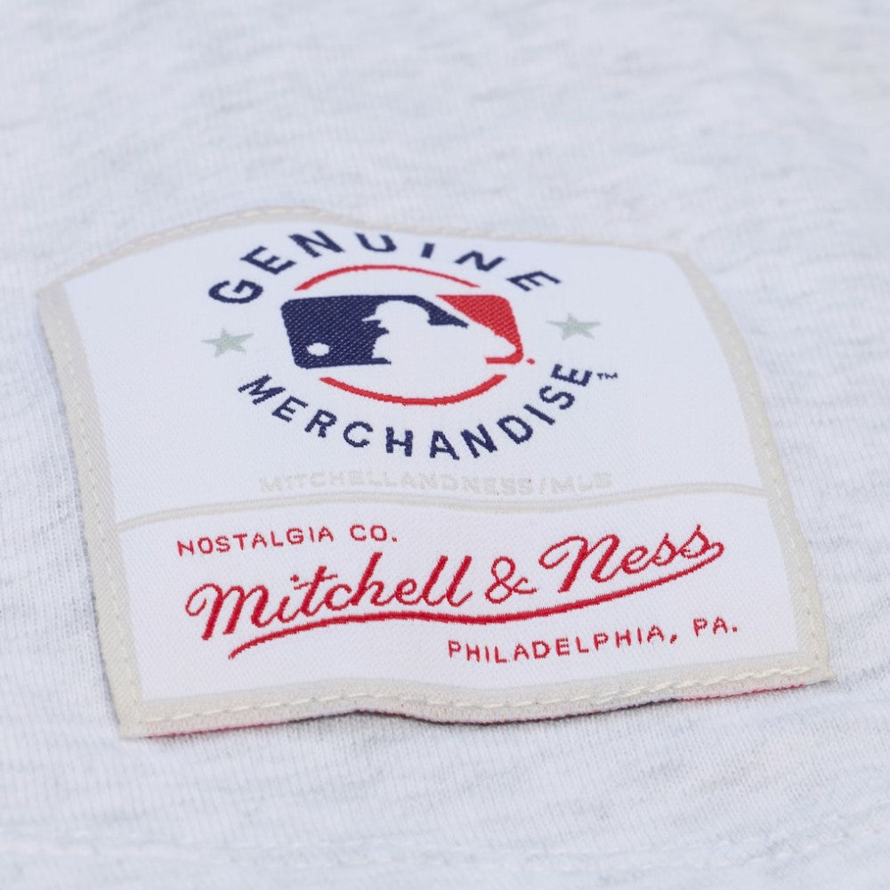 Los Angeles Dodgers Mitchell & Ness Women's Script Cropped Boxy T-Shirt | MLB For sale