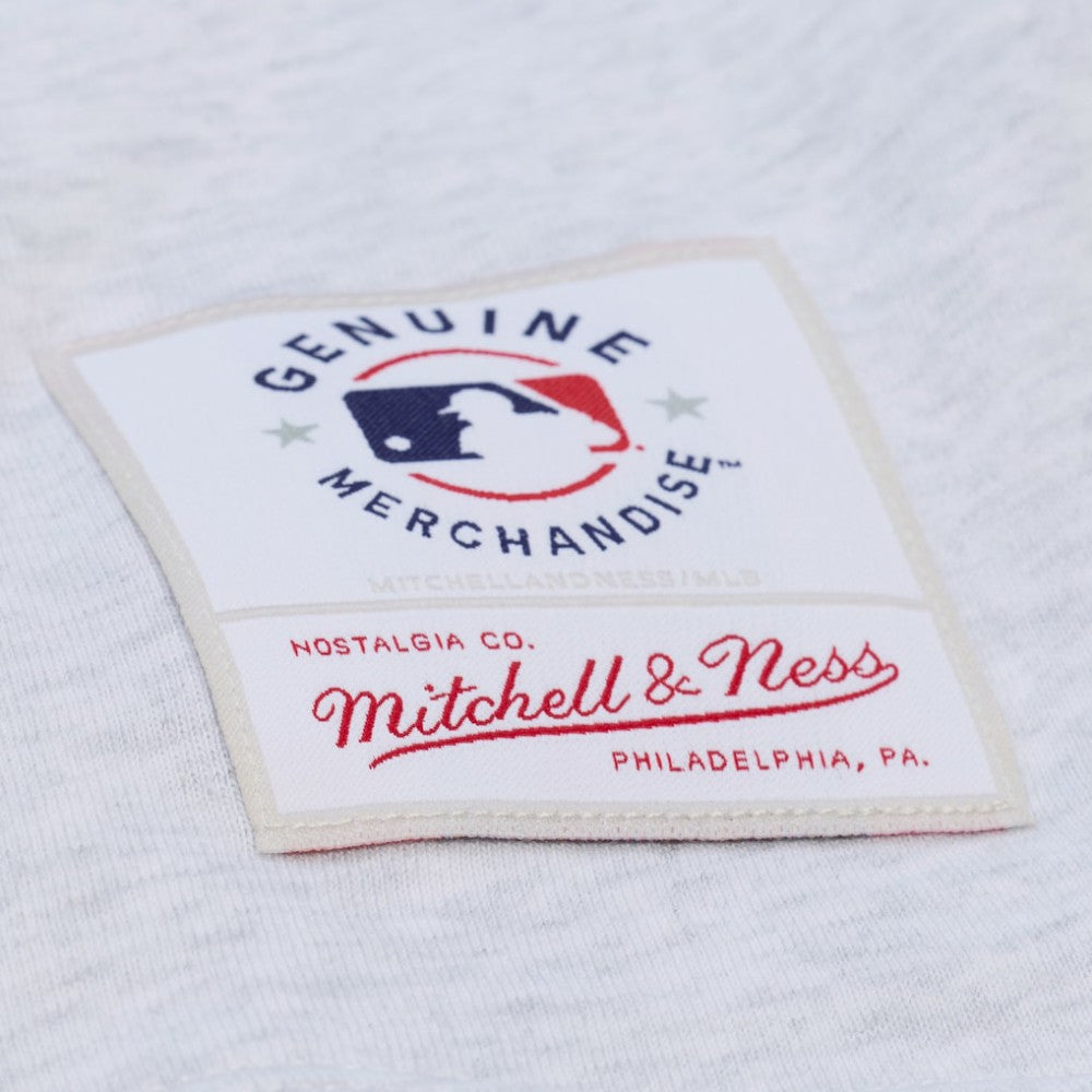 Philadelphia Phillies Mitchell & Ness Women's Script Cropped Boxy T-Shirt | MLB For sale