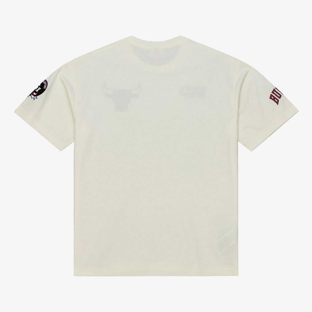 Chicago Bulls Hardwood Classics Chainstitch Premium T-Shirt sale On Sale
