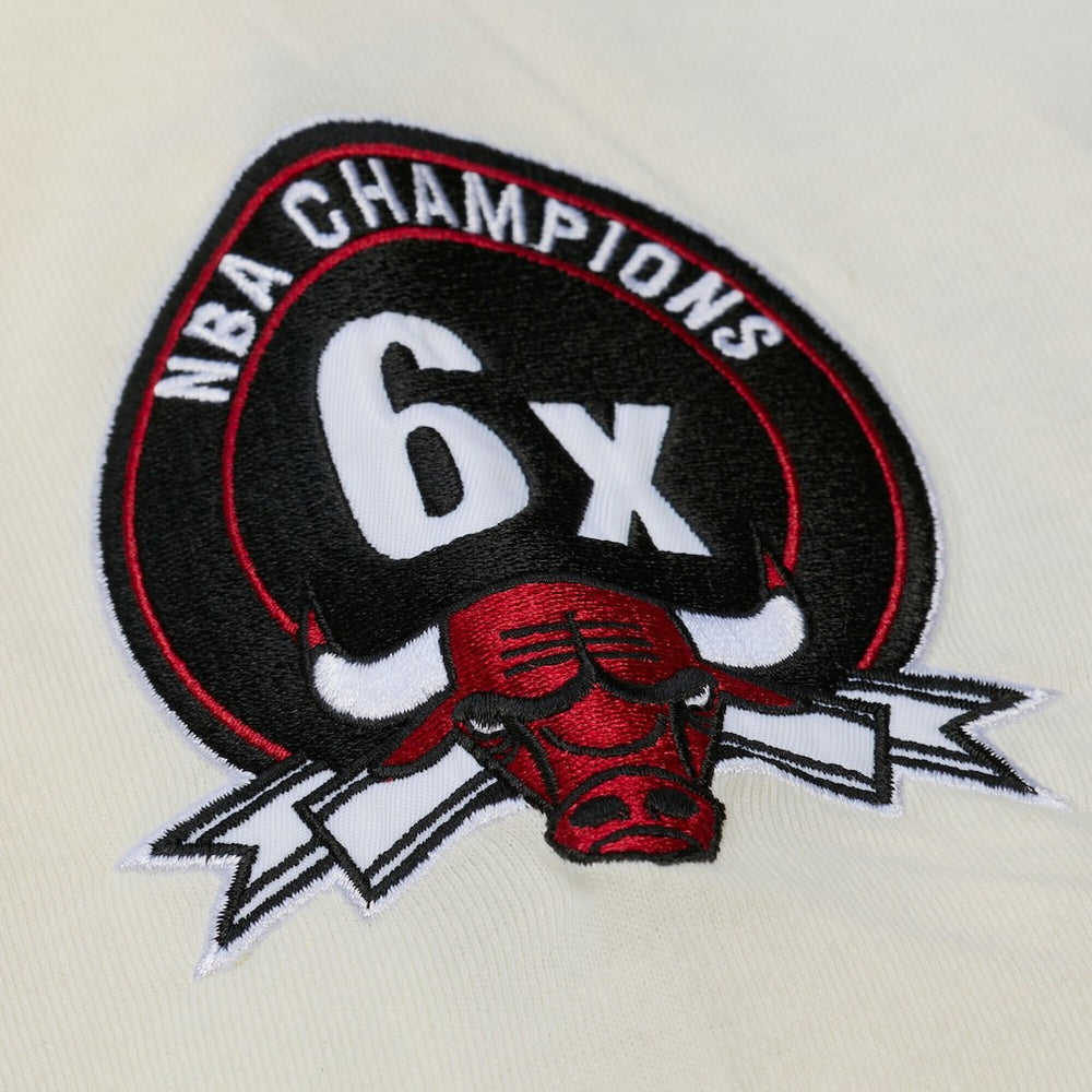 Chicago Bulls Hardwood Classics Chainstitch Premium T-Shirt sale On Sale