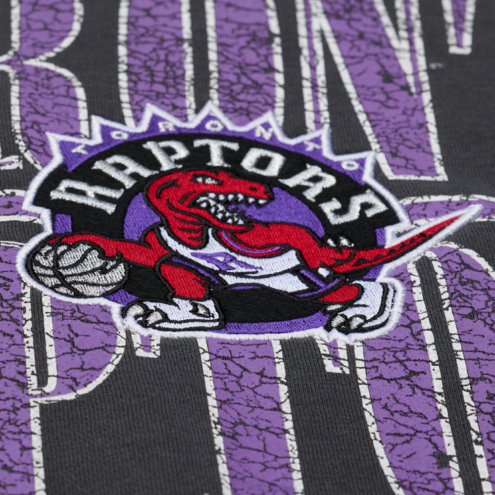 Toronto Raptors NBA Downtown Collection Fleece Sweatshirt On Sale