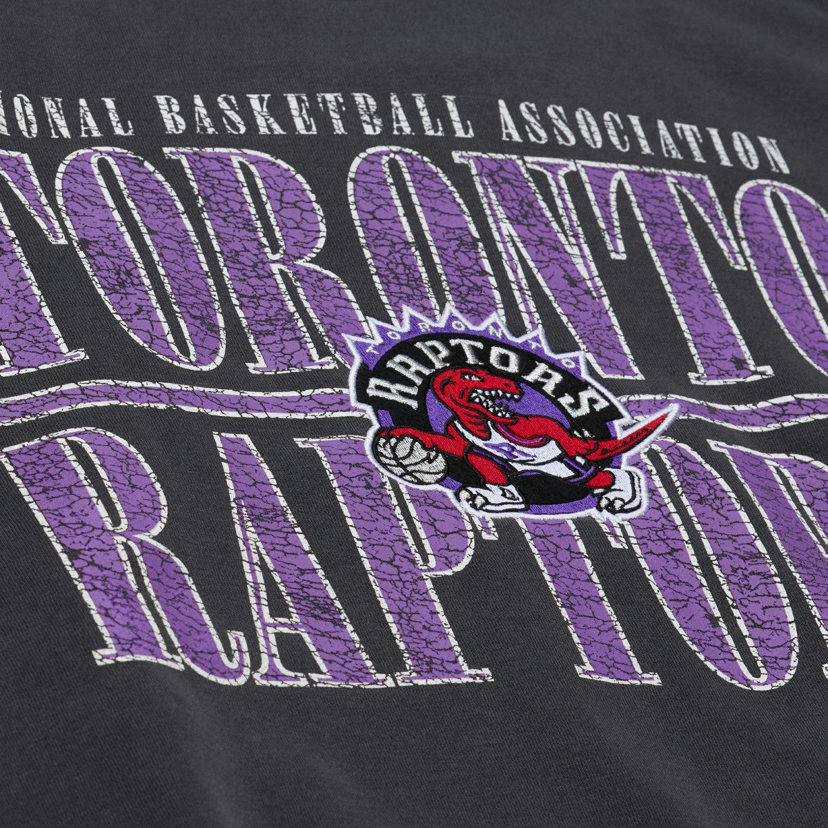 Toronto Raptors NBA Downtown Collection Fleece Sweatshirt On Sale