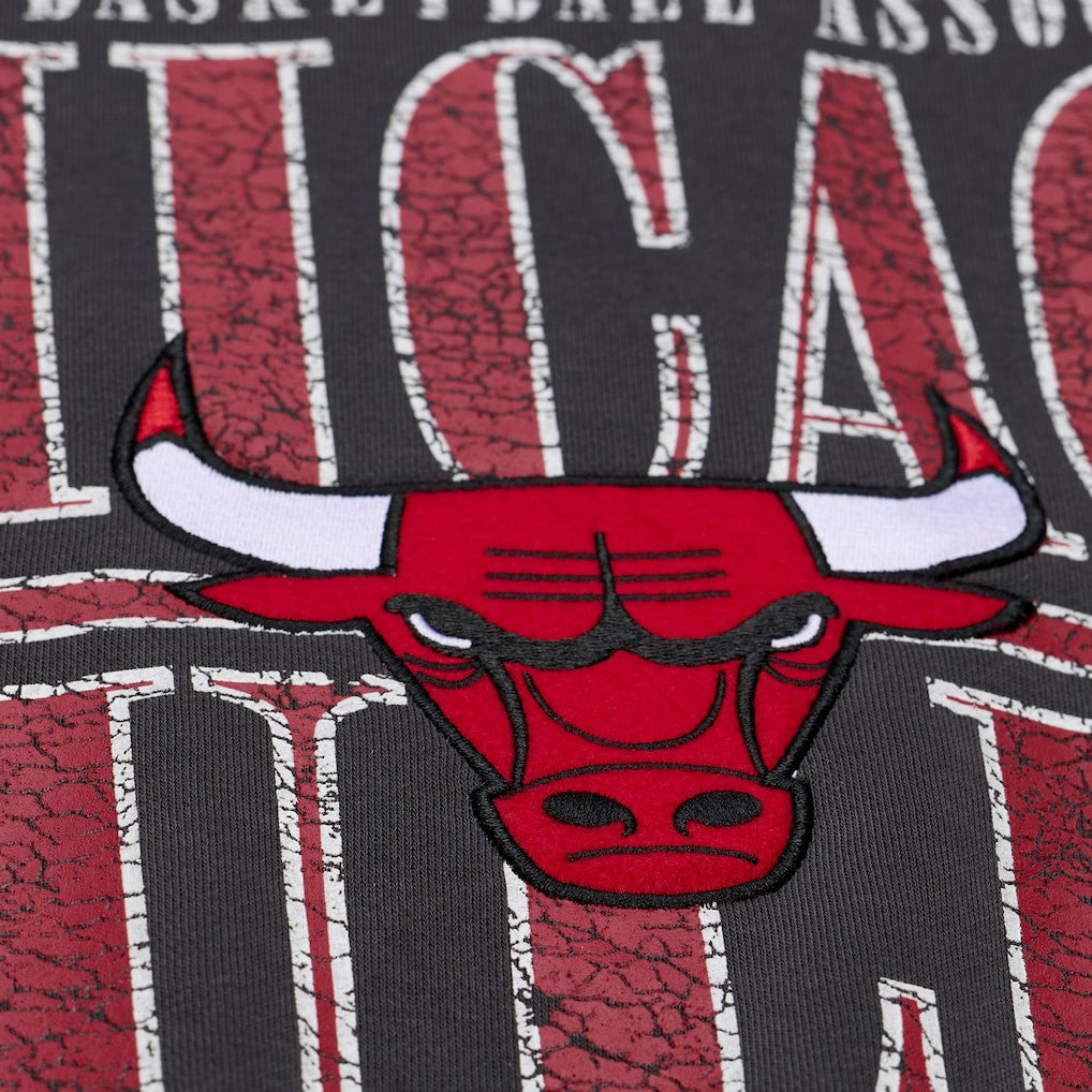 Chicago Bulls NBA Downtown Collection Fleece Sweatshirt sale Online