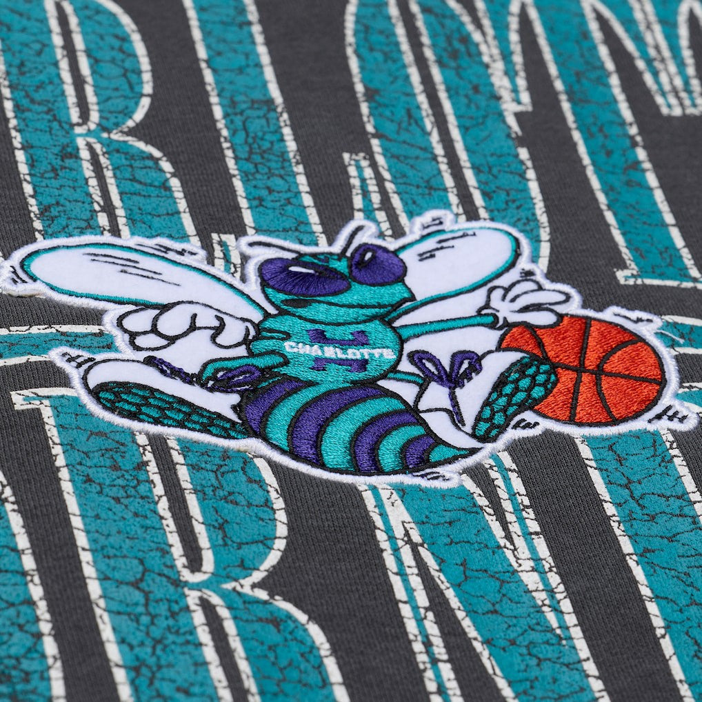 Charlotte Hornets NBA Downtown Collection Fleece Sweatshirt On Sale
