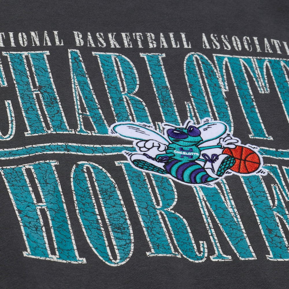 Charlotte Hornets NBA Downtown Collection Fleece Sweatshirt On Sale