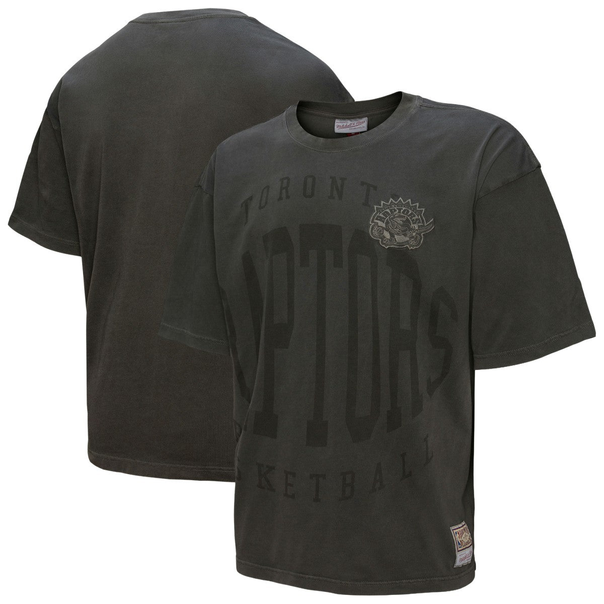 Toronto Raptors Downtown Collection Premium T-Shirt Online
