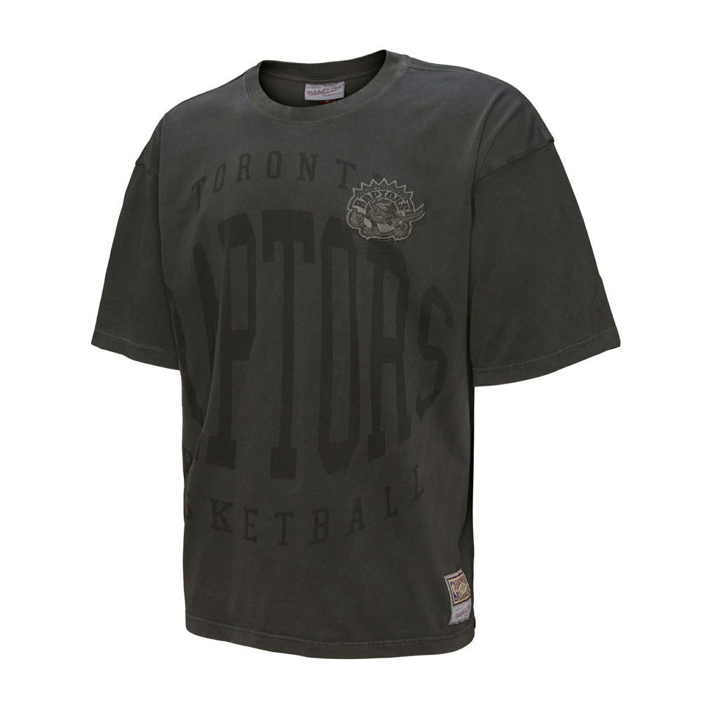 Toronto Raptors Downtown Collection Premium T-Shirt Online