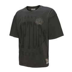 Toronto Raptors Downtown Collection Premium T-Shirt Online