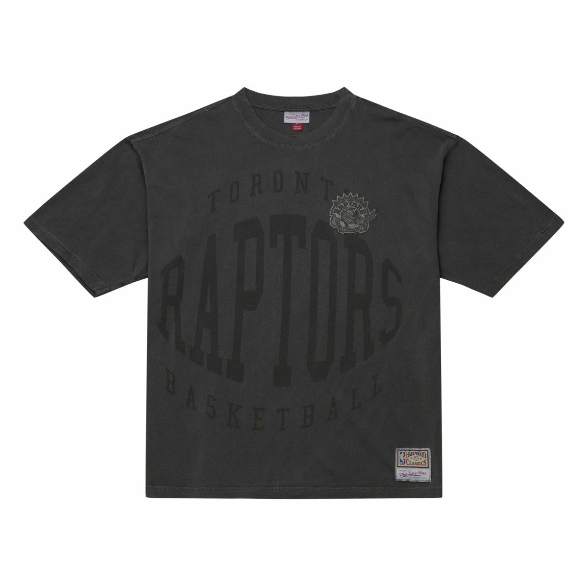 Toronto Raptors Downtown Collection Premium T-Shirt Online